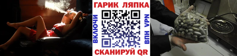 наркотики  Светлогорск  Гашиш убойный 