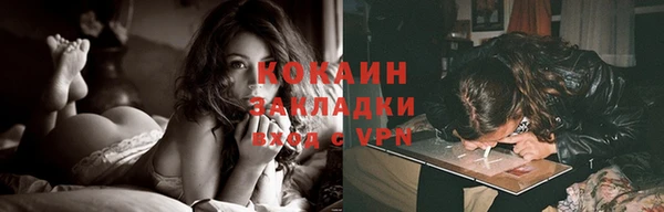 индика Аркадак