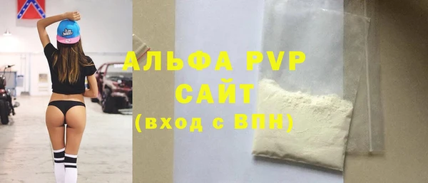 индика Аркадак