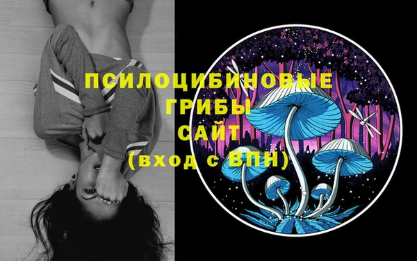 стафф Армянск